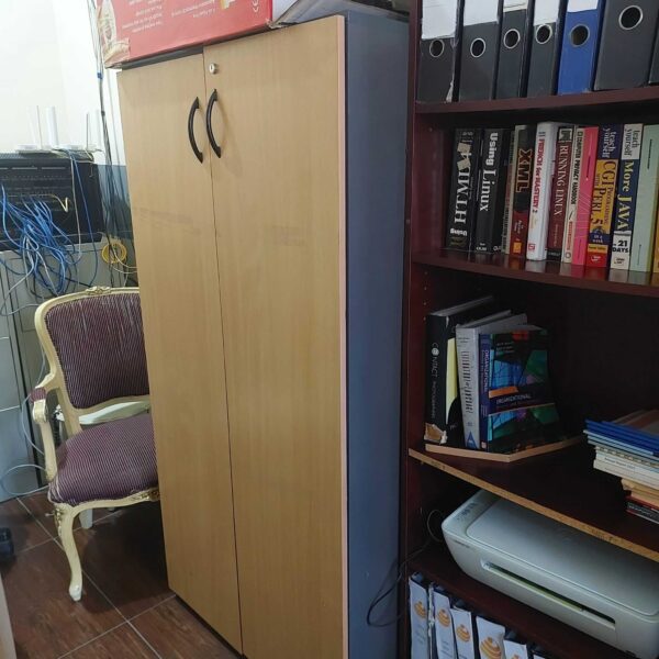 Brown 2 Door Cabinet